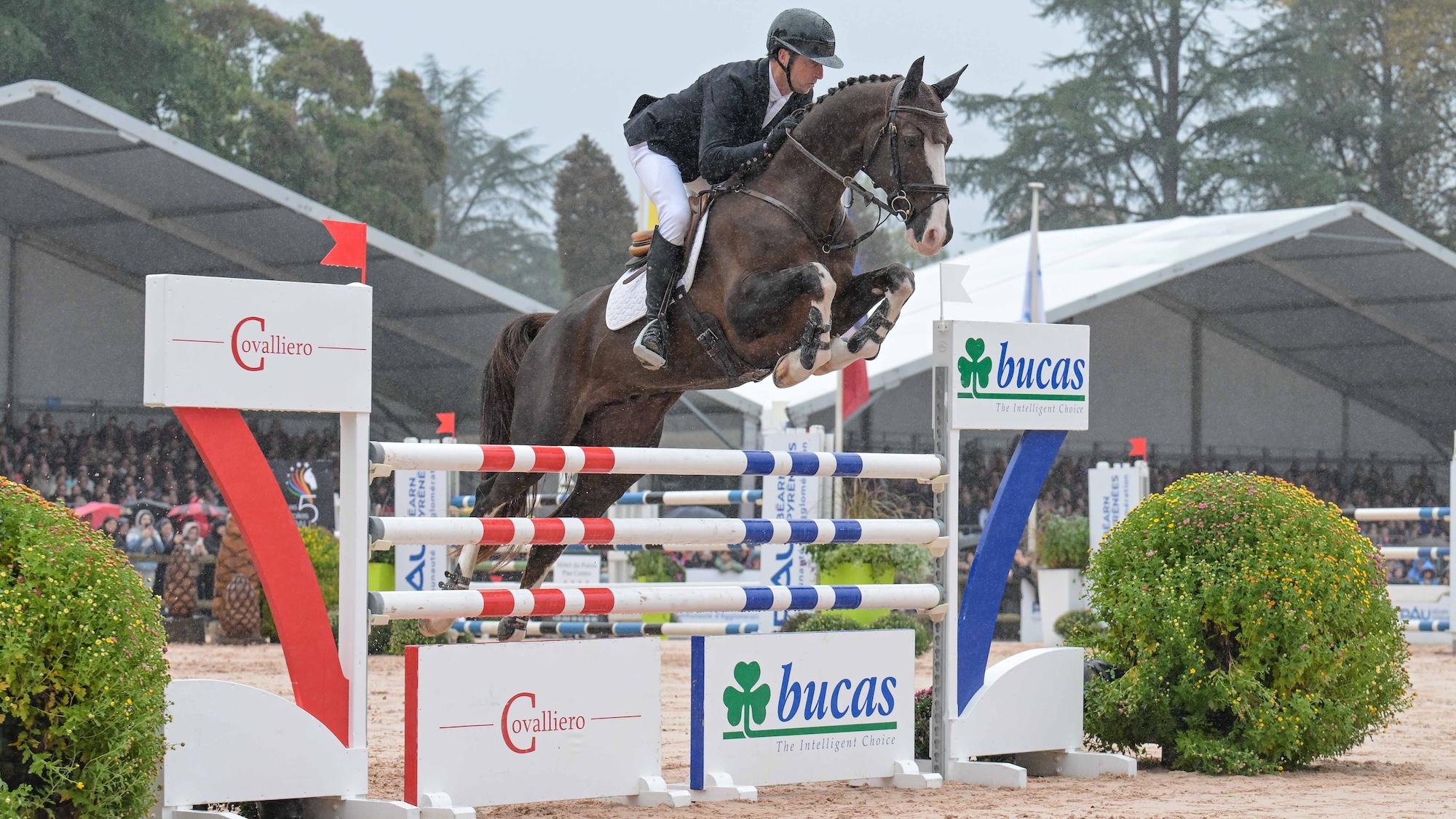 Pau winner Tim Price showjumps clear on Jarillo