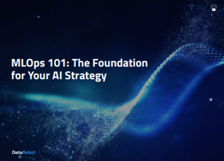 How to build a foundation for AI strategy - whitepaper from DataRobot