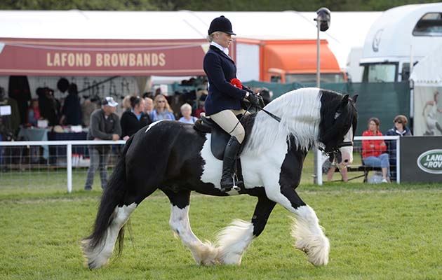 RWHS 08 05 2018