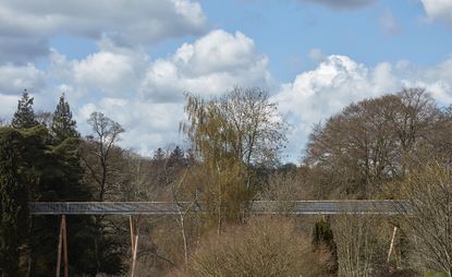 Stihl Treetop Walkway in Gloucestershire, surrounding landscape forest of tall trees, blue cloudy sky