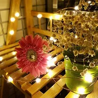 LED string fairy lights from Amazon