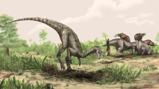 An artist’s illustration of Nyasasaurus, which could be the earliest known dinosaur, or else a close relative of early dinosaurs.