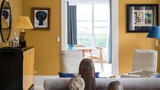 Farrow & Ball India Yellow in living room