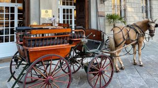 Take a horse and cart ride round the historic city