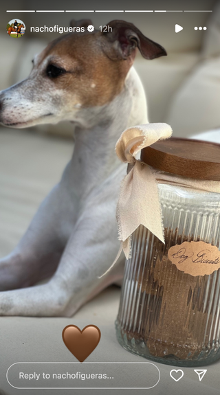 Man's best friend, posing next to the latest product from Meghan Markle's lifestyle brand.