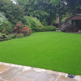 lawn with plants