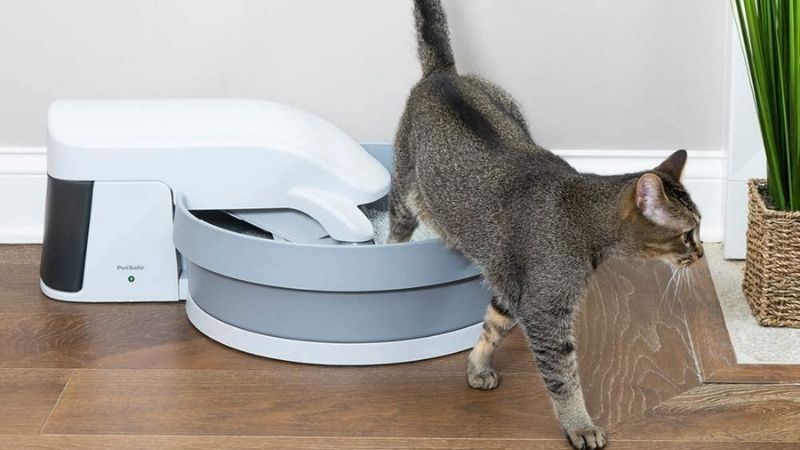 Best self-cleaning litter boxes   