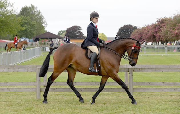Greer-Taverner.jpg