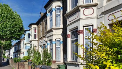 Row of white houses