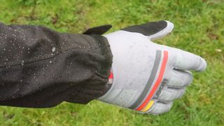 Gloved hand and cuff of cycling jacket with grass behind