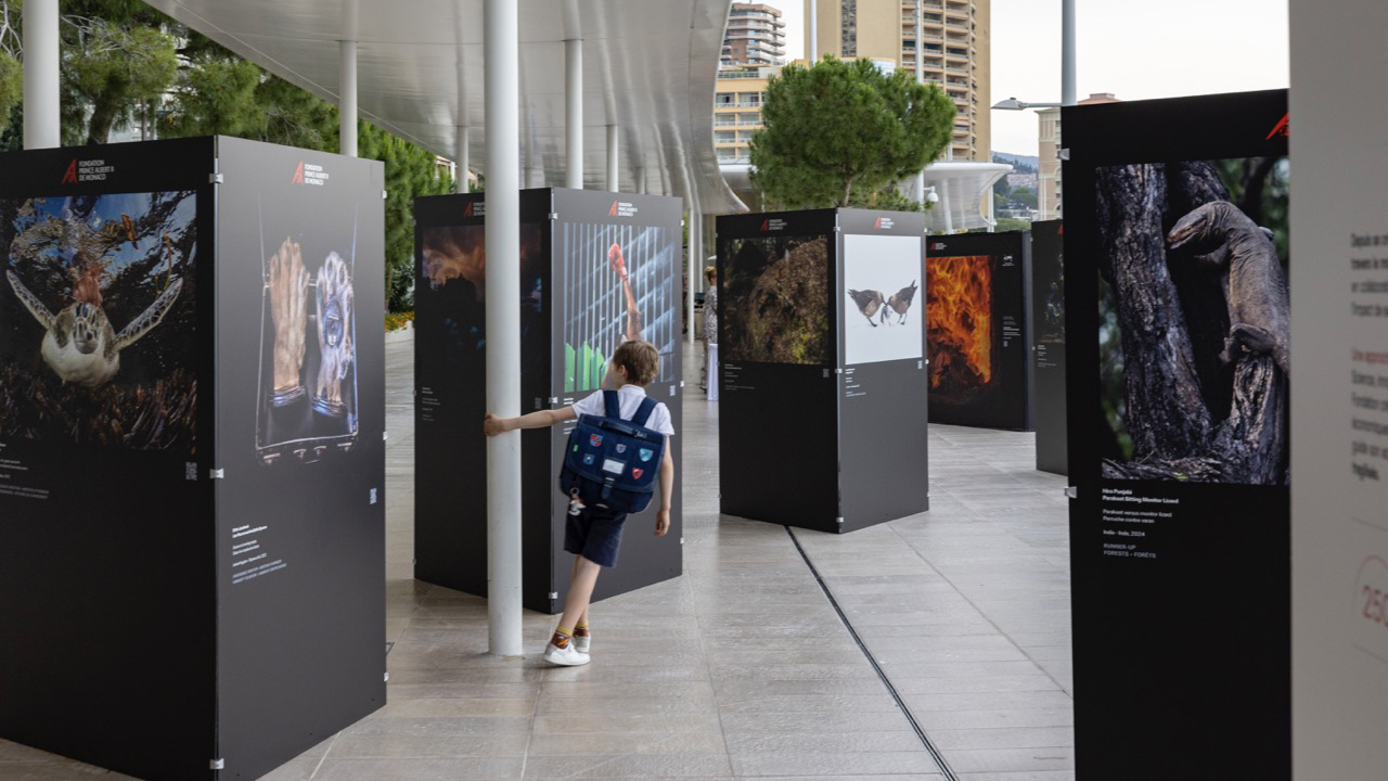 A child wanders through the 2026 Environmental Photography Awards exhibition