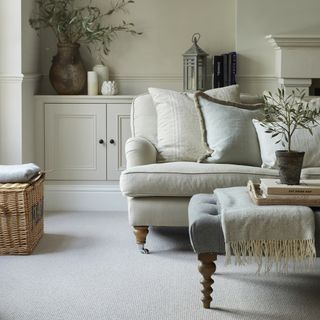 Living room with light grey carpet and sofa