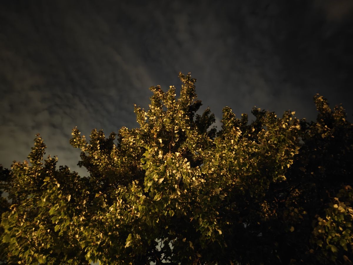 OnePlus Open low light sample.