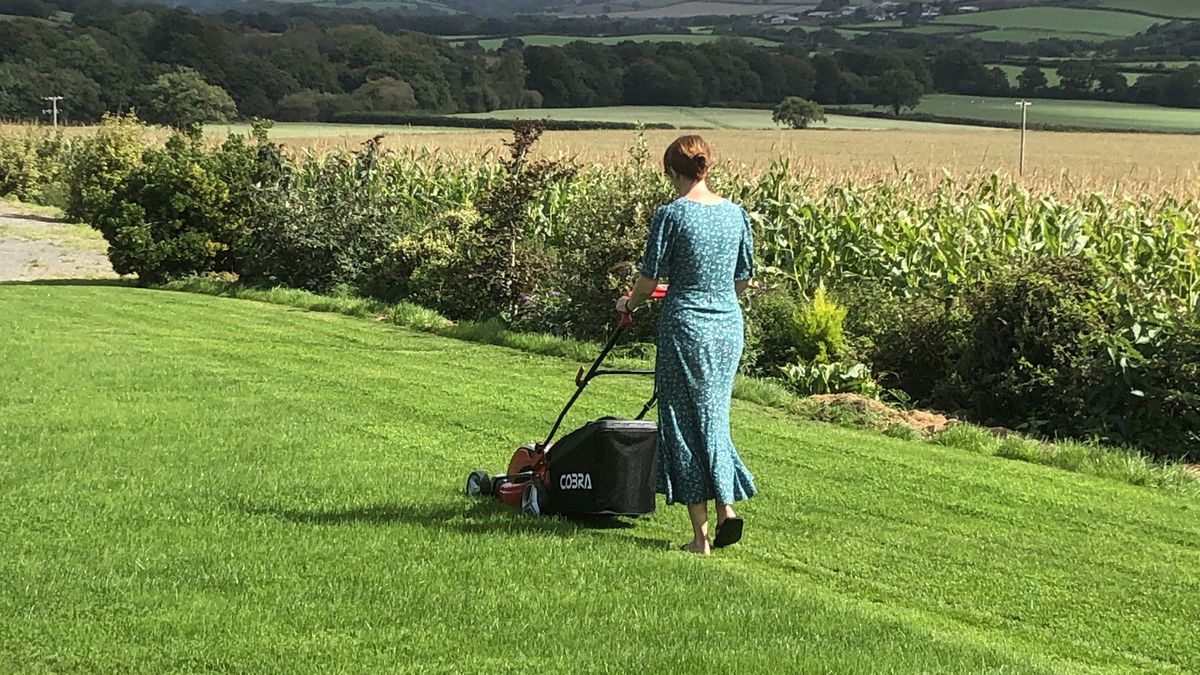 Cobra mulching online mower