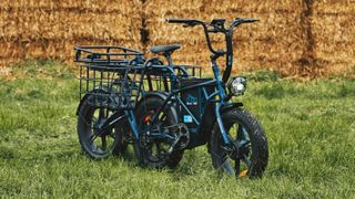Dolas Defender 250 e-bike parked on grass