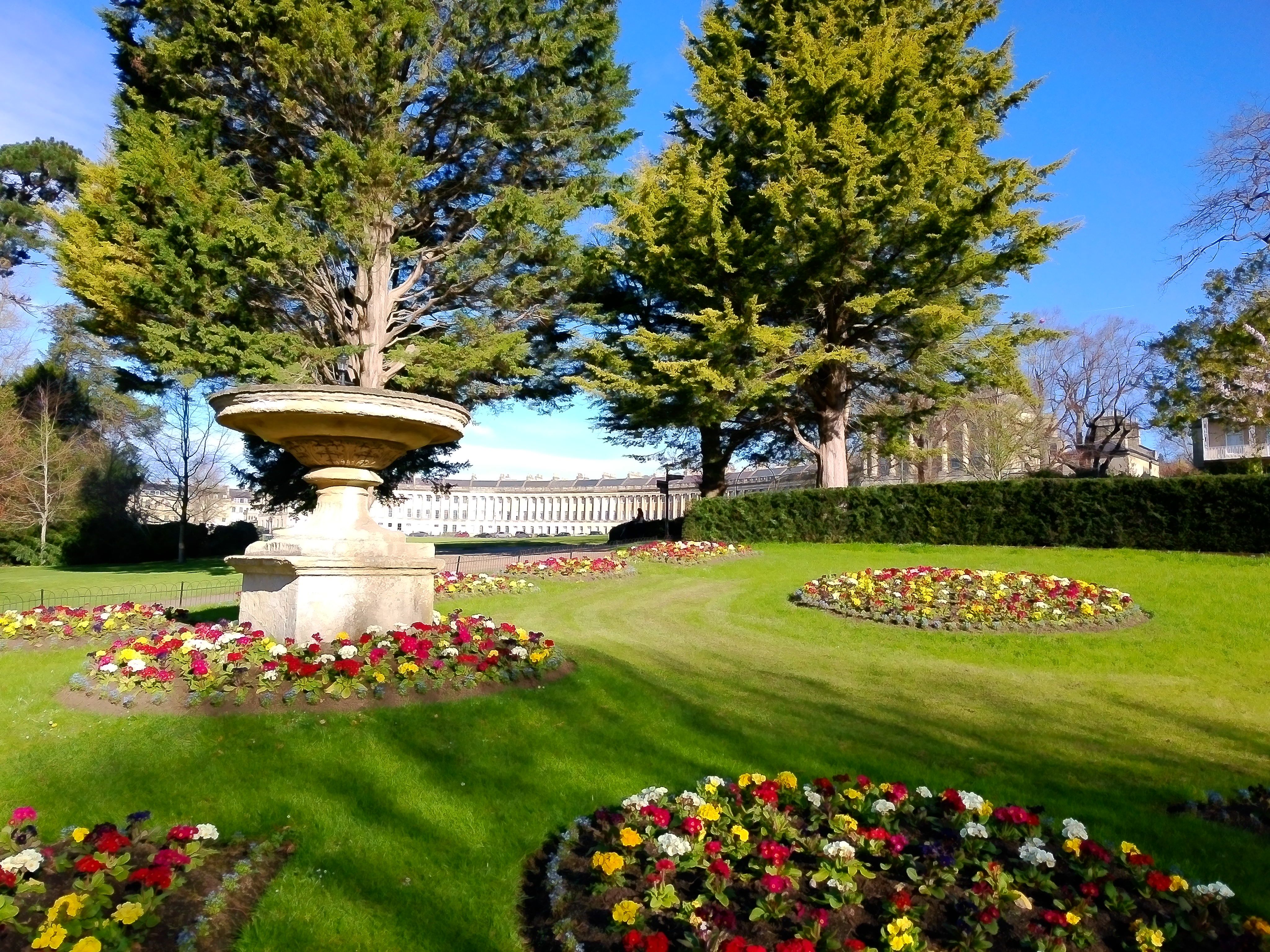 Yashica FX-D 300 example shot