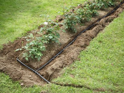 Irrigation System In Soil Around Plants