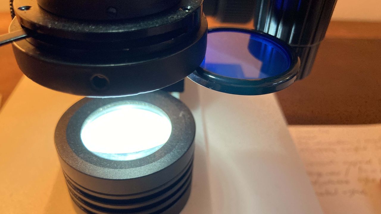 Celestron Labs CB2000C Advanced Biological Trinocular Microscope