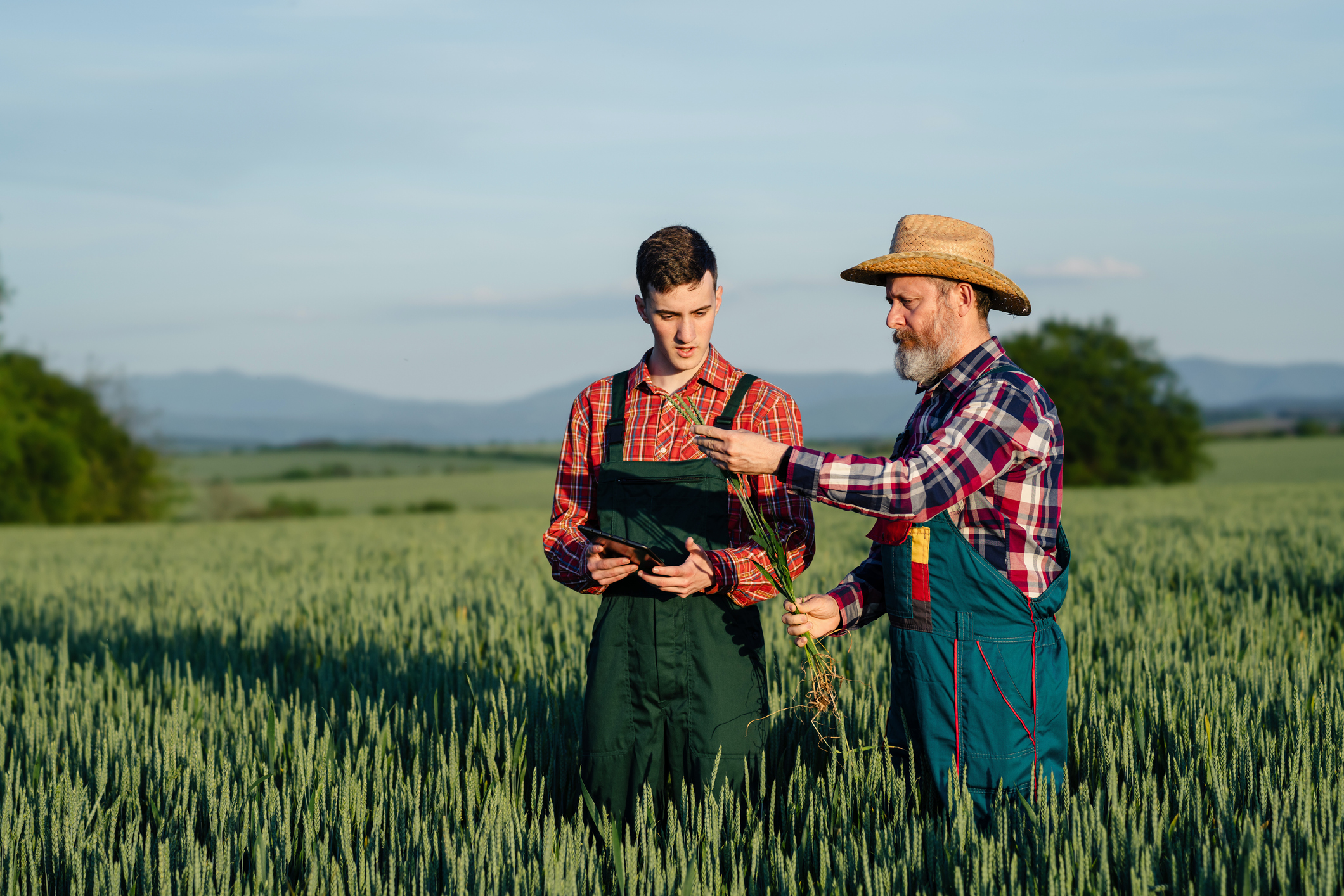 farmers 