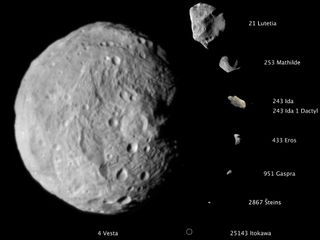 Comparative Sizes of Eight Asteroids
