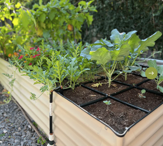 Garden in Minutes, All-In-One Raised Garden Bundle