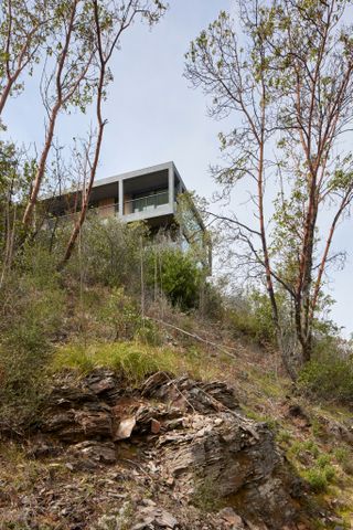 downhill looking up towards Frame House by Mork-Ulnes Architects