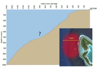 The TIGHAR expedition plans to search this underwater reef slope at Nikumaroro (formerly Gardner Island).