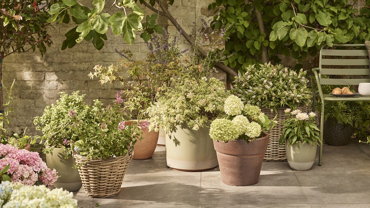 set of garden planters on a stone patio with terracotta and rattan and glazed options