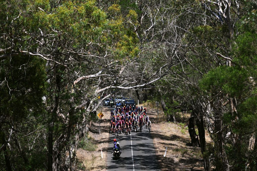 GEELONG AUSTRALIA FEBRUARY 01 A general view of the peloton passing through a landscape during the 9th Cadel Evans Great Ocean Road Race 2025 Womens Elite a 1418km one day race from Geelong to Geelong UCIWWT on February 01 2025 in Geelong Australia Photo by Dario BelingheriGetty Images