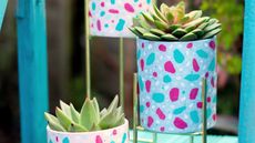 How to decorate a plant pot