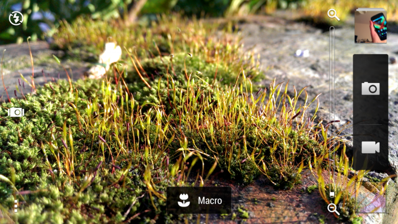 Macro shot