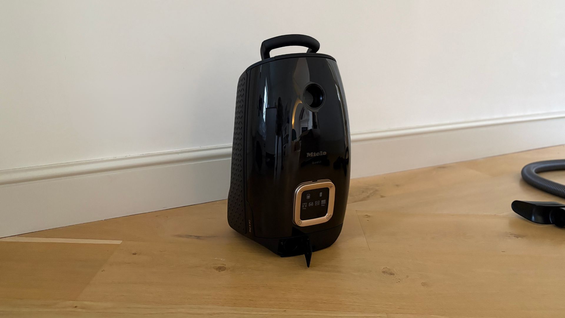 Testing the Miele Guard L1 Cylinder Vacuum