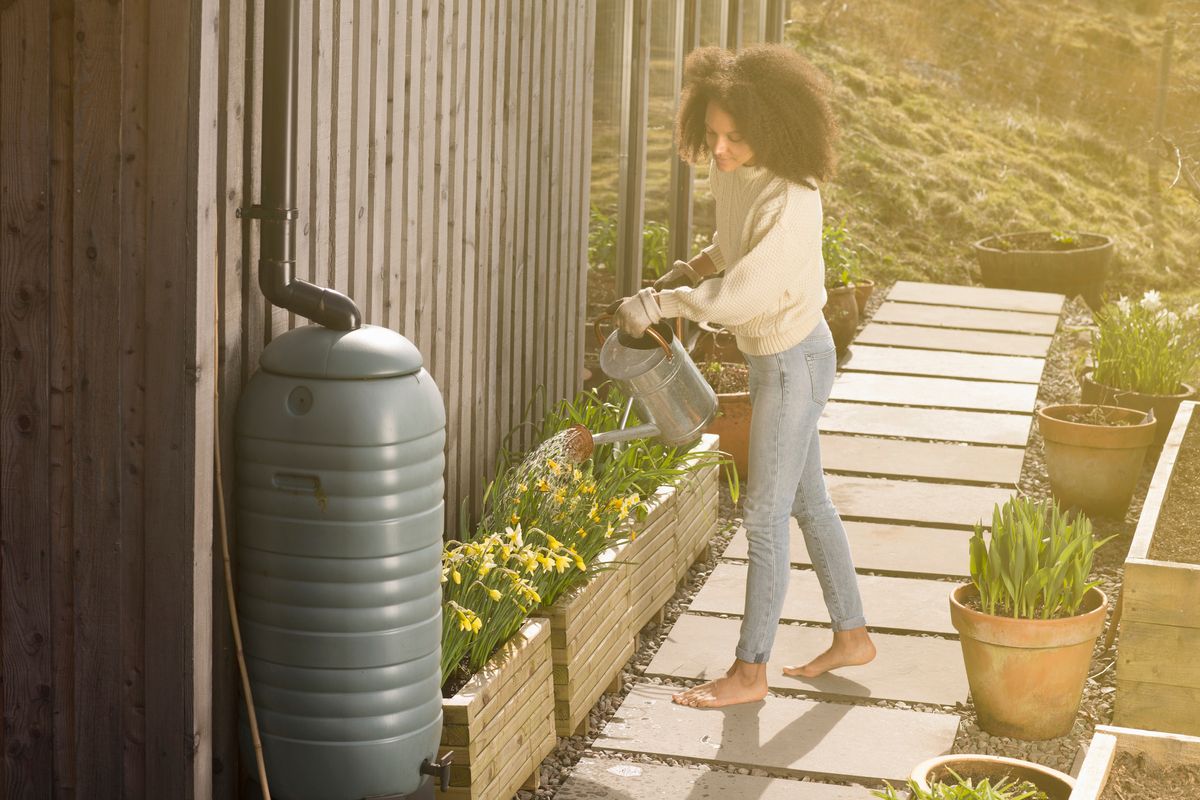 woman saving water with garden irrigation from water butt