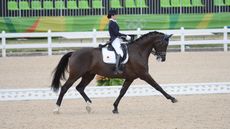 Toots_Rio_PN16_29586.jpg
