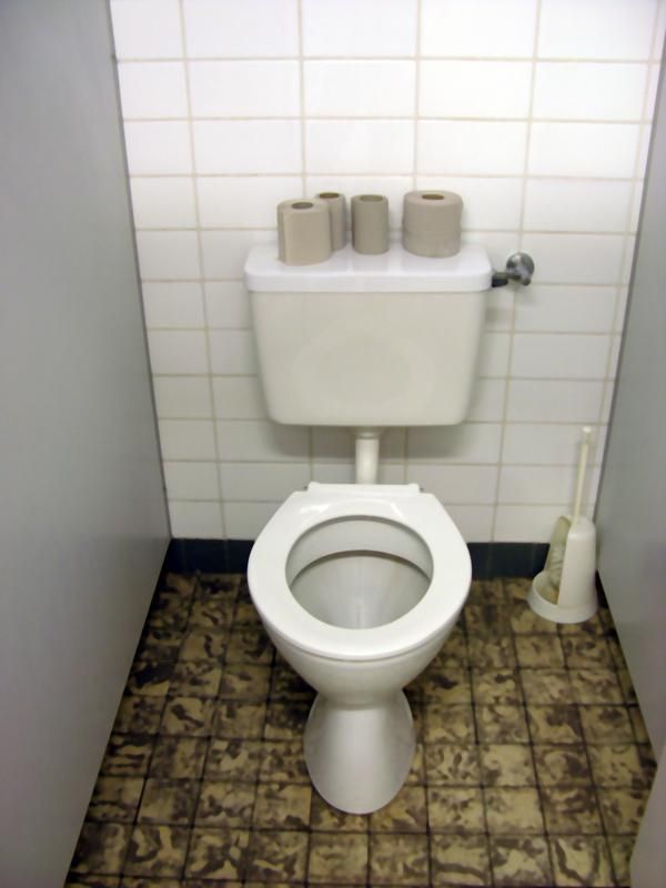 Toilet Bowl Flush Equator at Dale Stewart blog