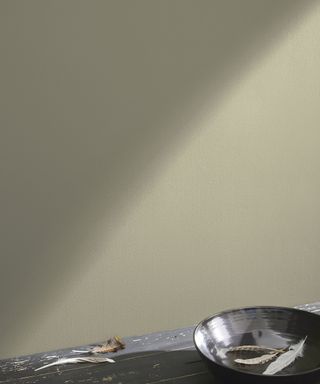 sage green wall with shadow, surface in the foreground with black bowl and feathers