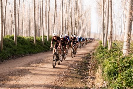 The peloton drives through a forest on the second day of racing in 2025