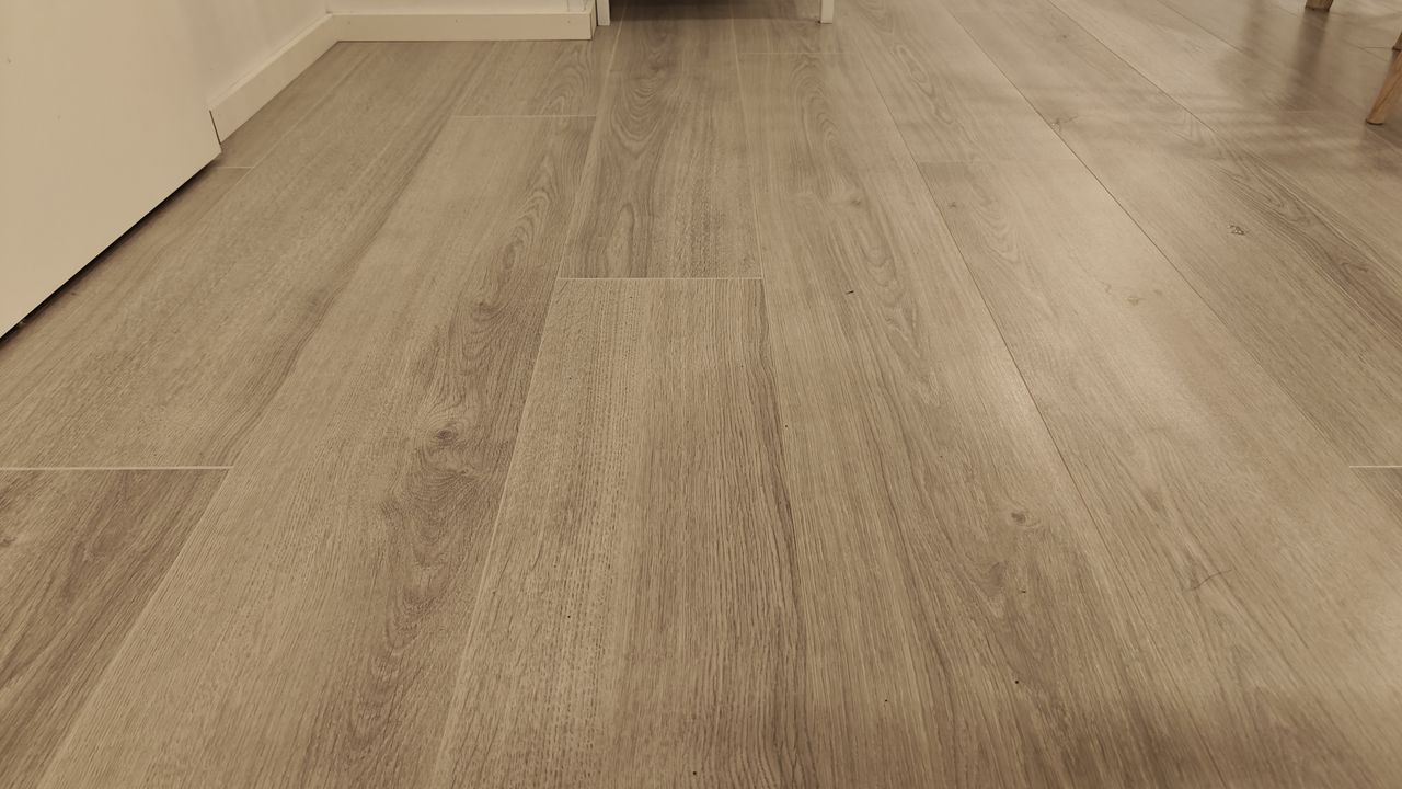 Roborock Flexi Pro