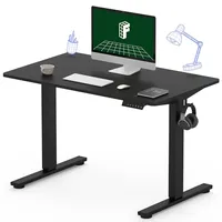 FlexiSpot One-Piece Electric Standing Desk (40x24) FlexiSpot One-Piece Electric Standing Desk (40x24)