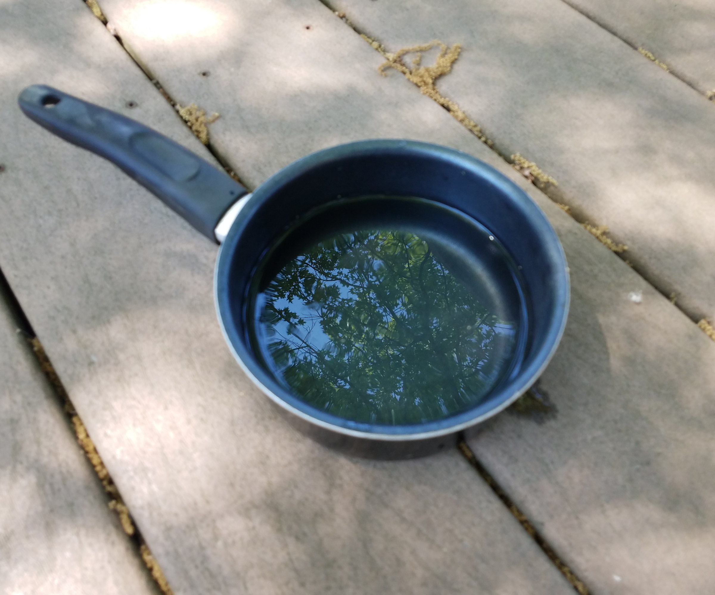 A pan of water on a wooden deck