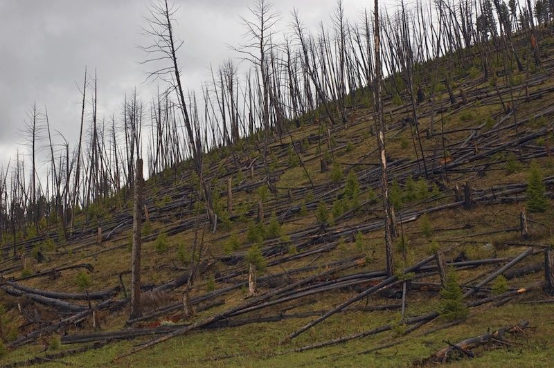 The Worst Droughts in U.S. History Live Science