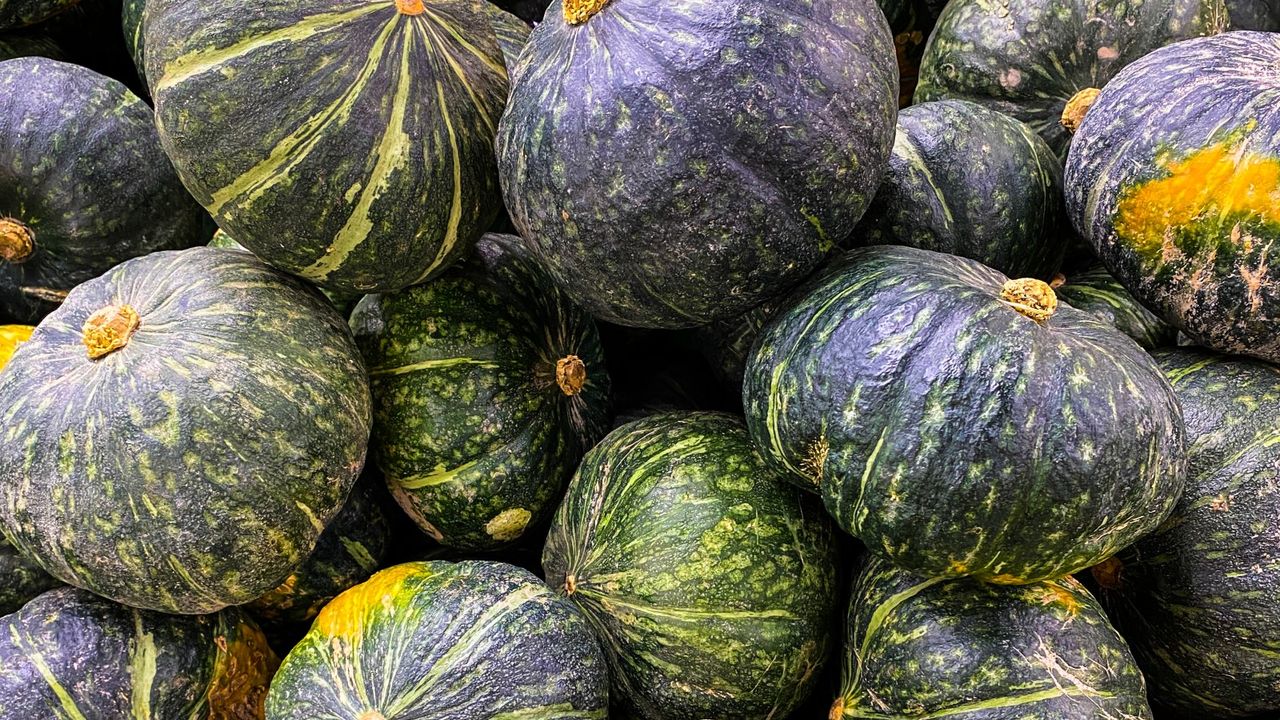 A pile of kabocha squash