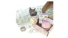 Pusheen Box Cat Kit Subscription