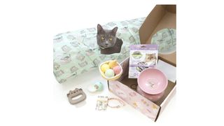 Cat Kit by Pusheen Box