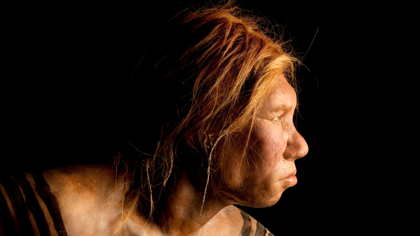 reconstruction of a female Neanderthal looking off to the right