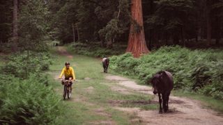 A woman in a yellow jumper rides through a forest beside ponies