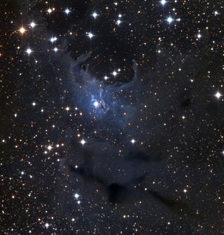 Reflection Nebula vdB4