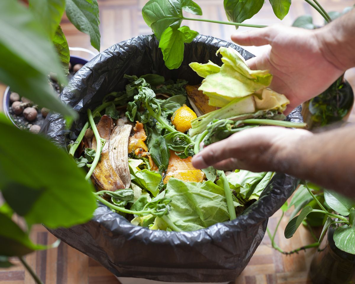12 Composting Mistakes That Will Ruin Your Stash Gardening Know How