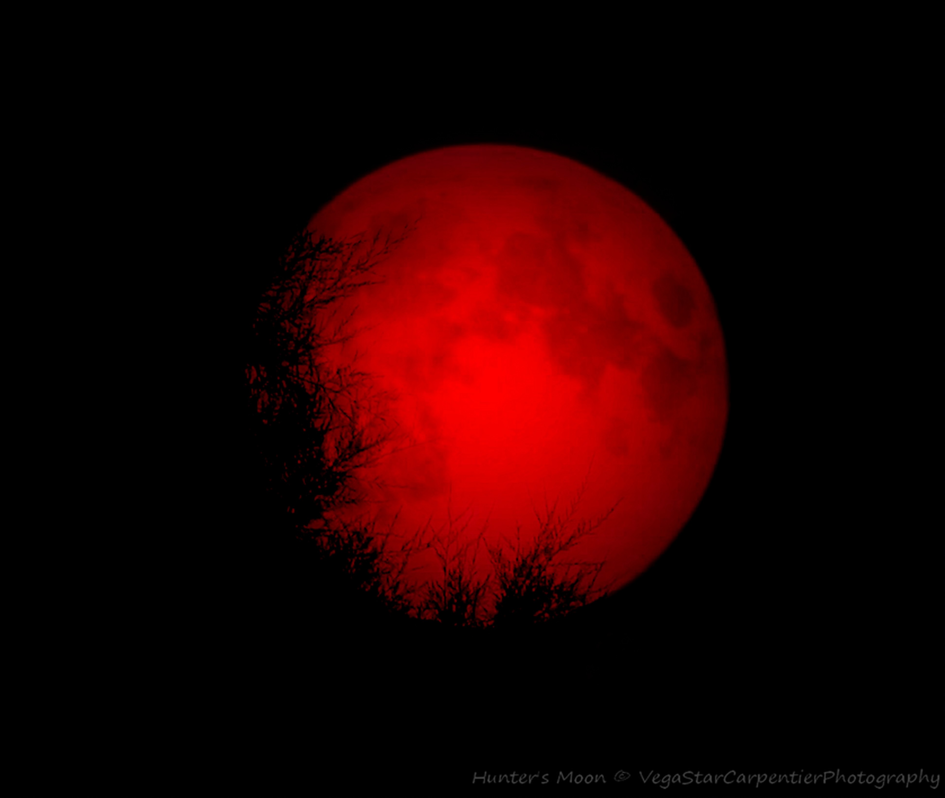 Кровавая луна remnant. Красная Луна. Кровавая Луна. Кровавое солнце. Кроваво красная Луна.