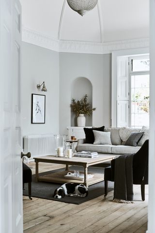 A light grey living room with wooden coffee table decor, arched alcolve with white vase, framed wall art with wall light and dog sitting on wooden floor with black rug